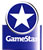 Gamestar Special Award